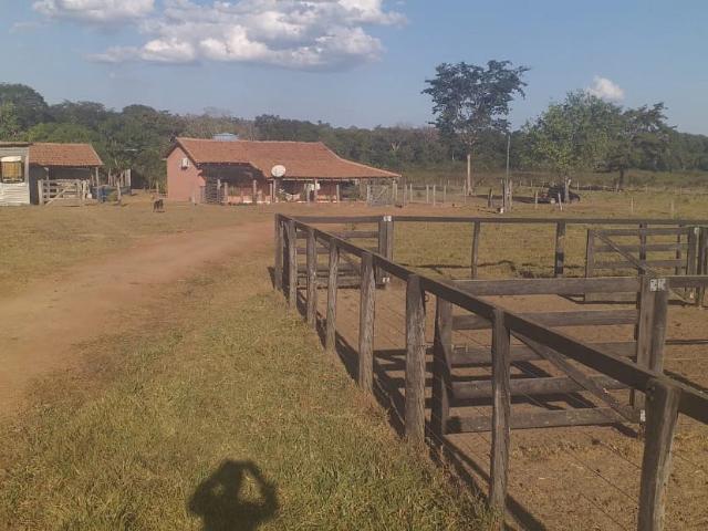 Fazenda venda em Centro, Canarana