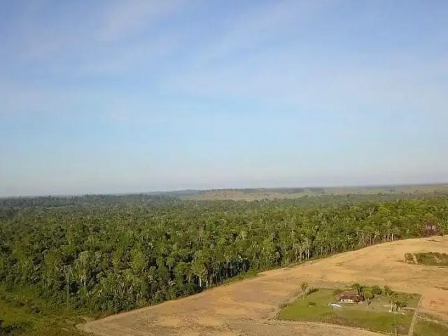 Fazenda venda em Região Geográfica Imediata de Porto Velho, Candeias do Jamari