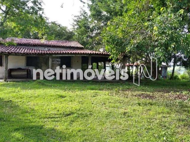 Fazenda venda em Região Imediata de Rio Claro, Região Metropolitana de Piracicaba