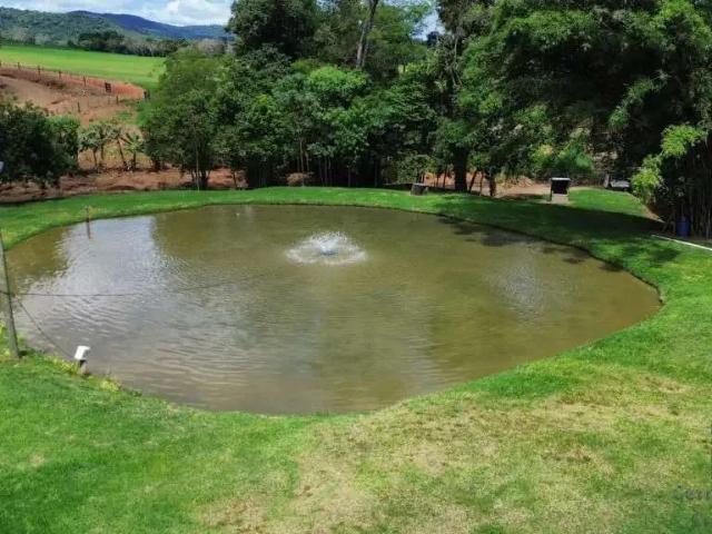 Fazenda venda em Região Geográfica Imediata de Ivaiporã, Cândido de Abreu