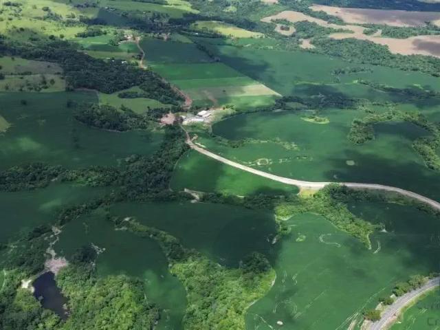 Fazenda venda em Região Geográfica Imediata de Ivaiporã, Cândido de Abreu