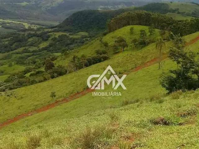 Fazenda venda em Região Geográfica Imediata de Ivaiporã, Cândido de Abreu