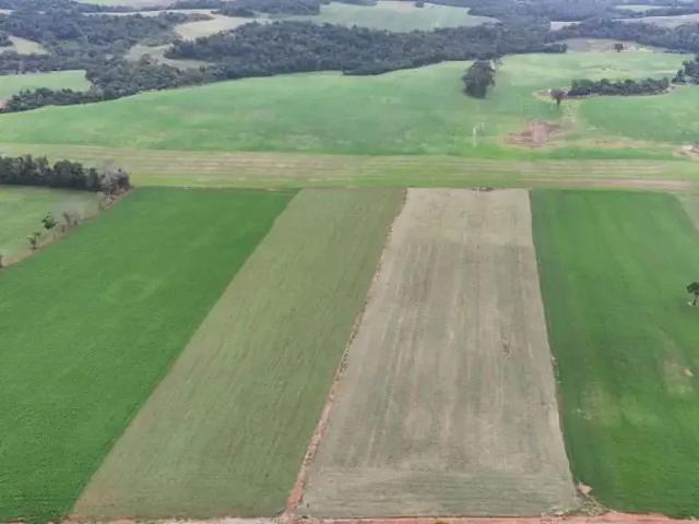 Fazenda venda em Região Geográfica Imediata de Ivaiporã, Cândido de Abreu