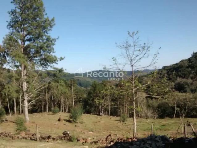 Fazenda venda em Gramado