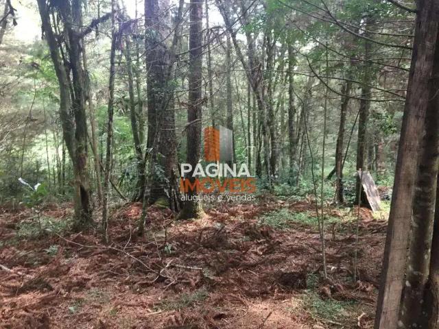 Fazenda venda em Região Geográfica Imediata de Caxias do Sul, Canela
