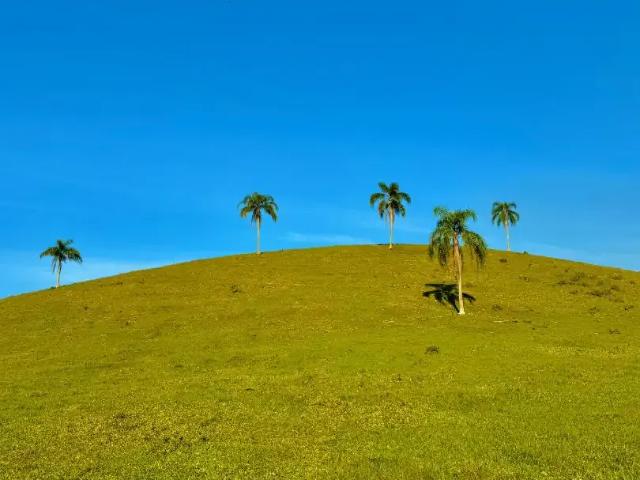 Fazenda venda em Região Geográfica Imediata de Brusque, Canelinha