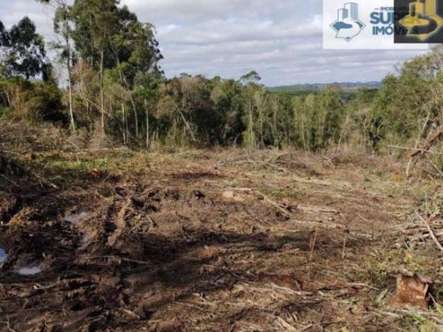 Sítio e chácara venda em Região Geográfica Imediata de Pelotas, Canguçu
