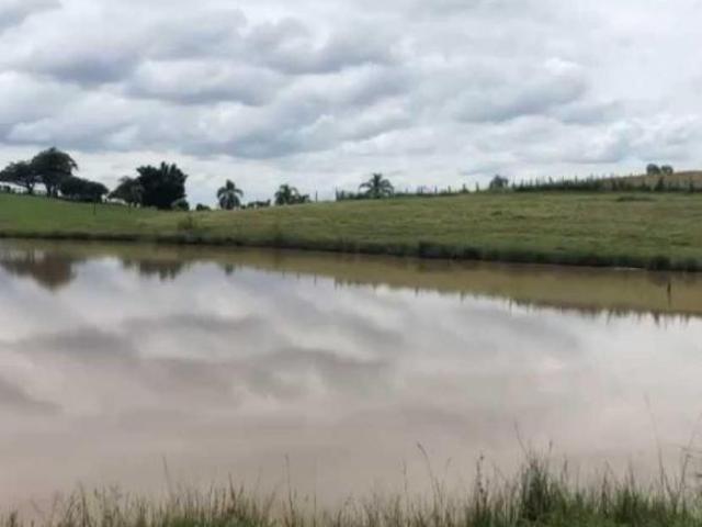 Sítio e chácara venda em Região Geográfica Imediata de Irati, Irati