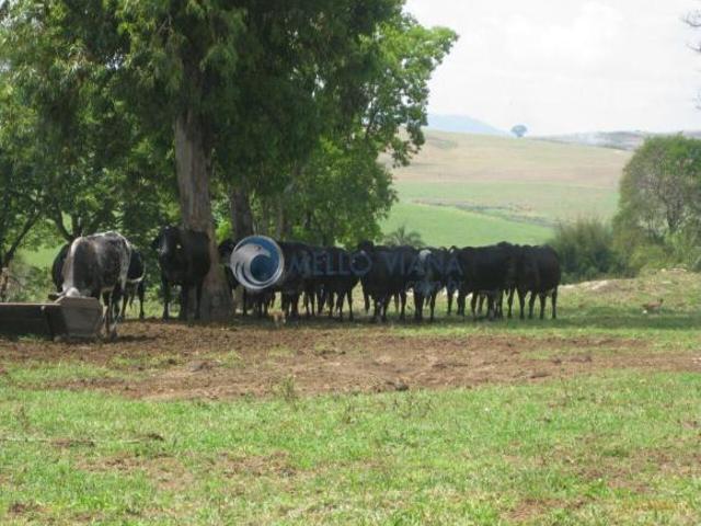 Sítio e chácara venda em Região Geográfica Imediata de Passos, Passos