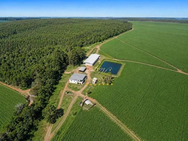 Fazenda venda em Região Geográfica Imediata de Mafra, Canoinhas