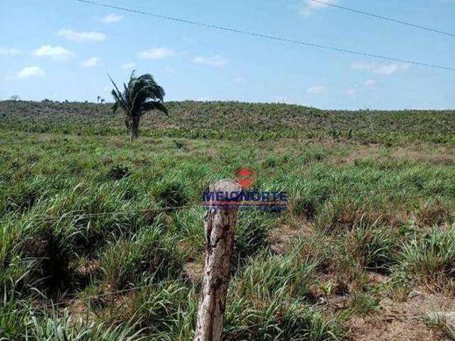 Fazenda venda em Cantanhede, Região Geográfica Intermediária de São Luís