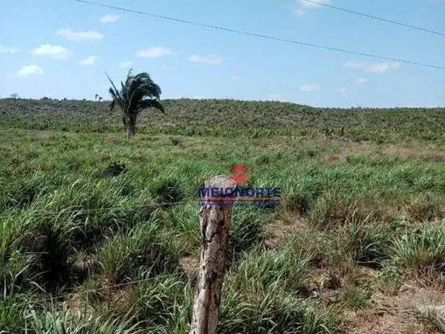 Fazenda venda em Cantanhede, Região Nordeste