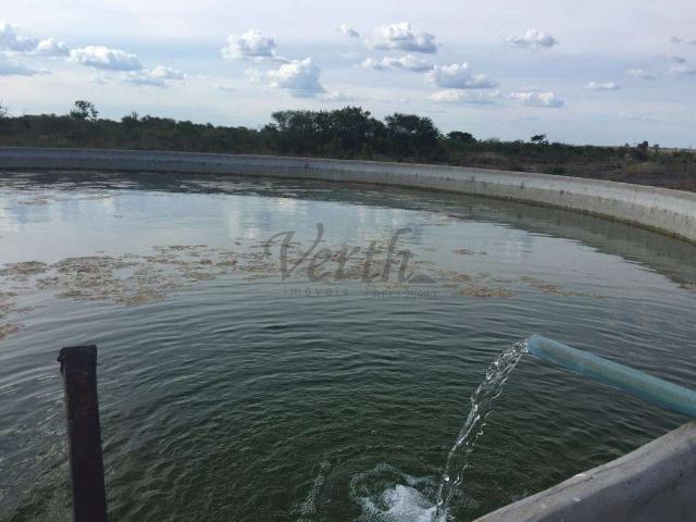 Fazenda venda em Canudos, Região Nordeste