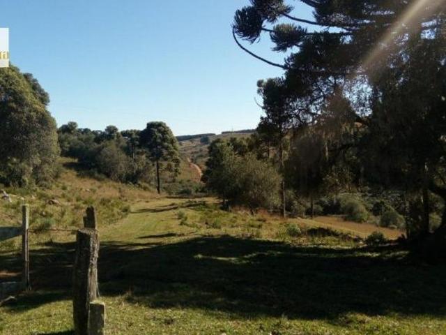 Sítio e chácara venda em Rincão, São Francisco de Paula
