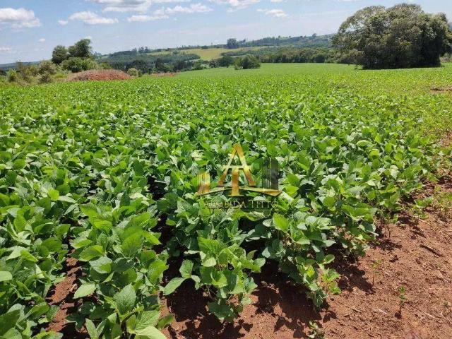 Fazenda venda em Região Imediata de Itapeva, Capão Bonito