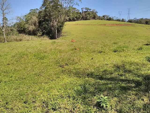 Fazenda venda em Região Imediata de Itapeva, Capão Bonito