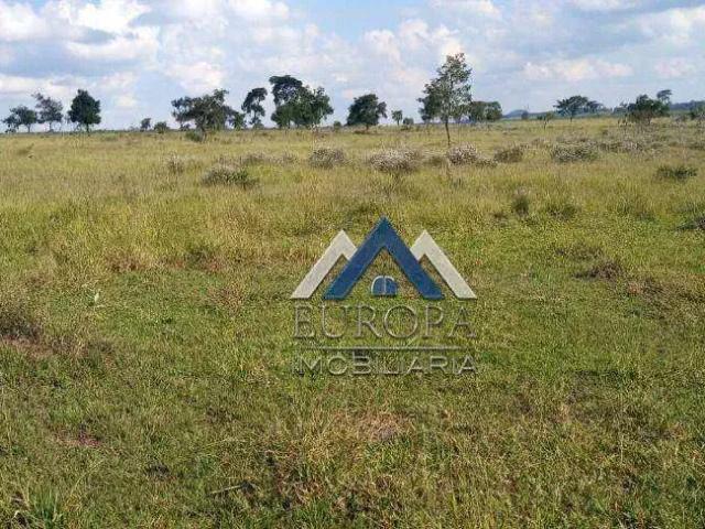 Fazenda venda em Região Imediata de Itapeva, Capão Bonito