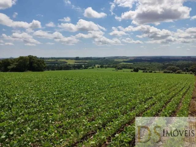 Fazenda venda em Região Imediata de Itapeva, Capão Bonito