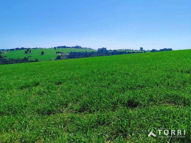 Fazenda venda em Região Imediata de Itapeva, Capão Bonito