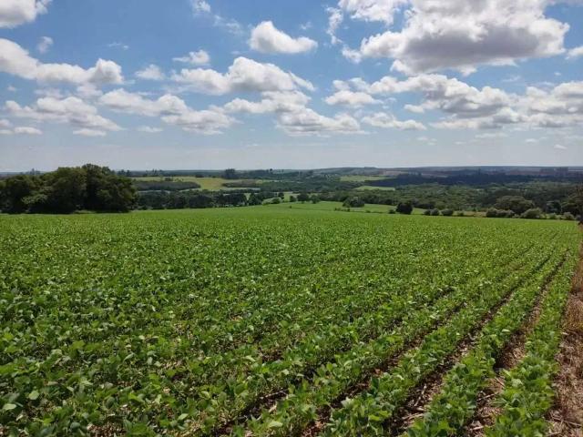 Fazenda venda em Região Imediata de Itapeva, Capão Bonito