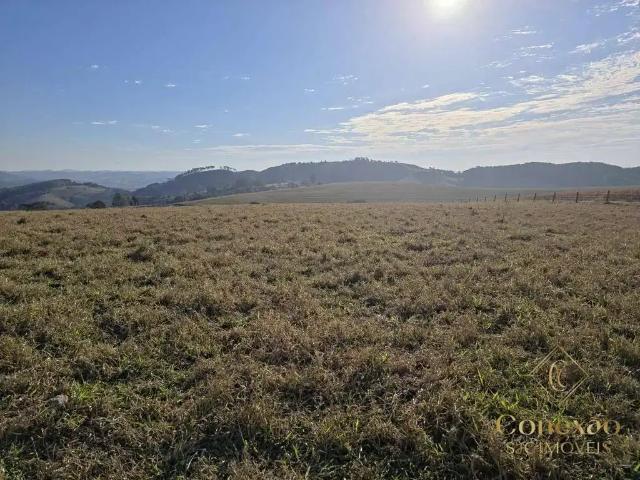 Fazenda venda em Região Imediata de Itapeva, Capão Bonito