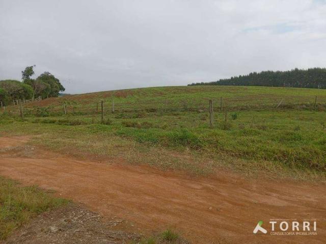 Fazenda venda em Região Imediata de Itapeva, Capão Bonito