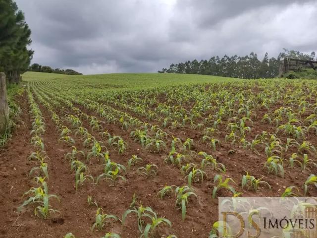 Fazenda venda em Região Imediata de Itapeva, Capão Bonito