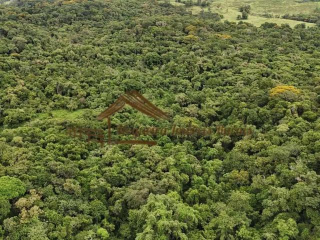 Fazenda venda em Região Imediata de Itapeva, Capão Bonito