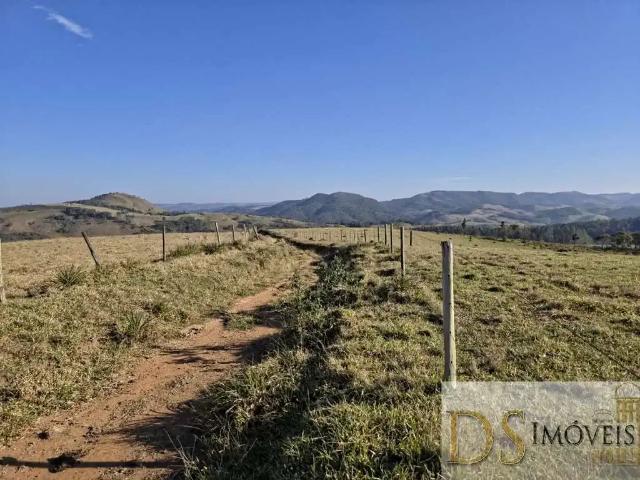 Fazenda venda em Região Imediata de Itapeva, Capão Bonito