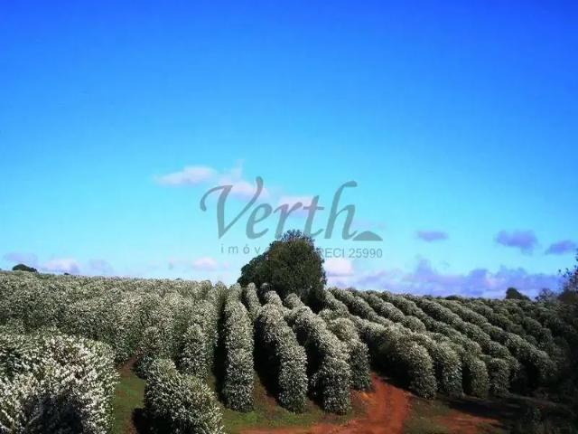 Fazenda venda em Capelinha, Região Sudeste