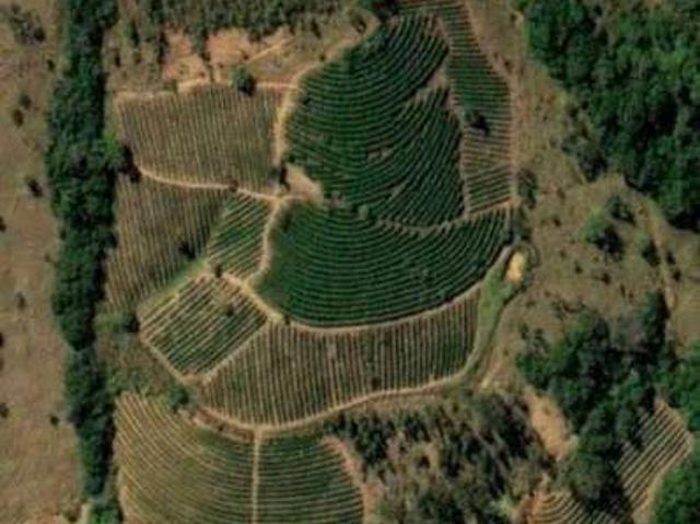 Fazenda venda em Região Geográfica Imediata de Piumhi, Capitólio