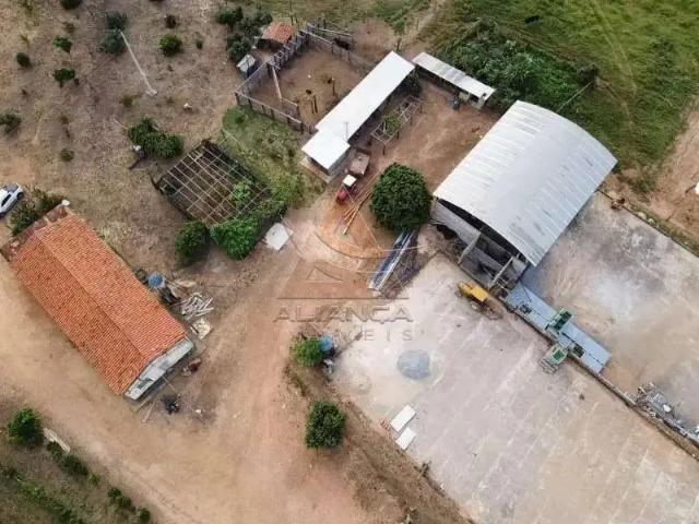 Fazenda venda em Região Geográfica Imediata de Piumhi, Capitólio
