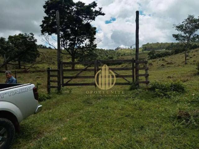 Fazenda venda em Região Geográfica Imediata de Piumhi, Capitólio