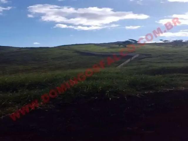 Fazenda venda em Carangola, Região Sudeste