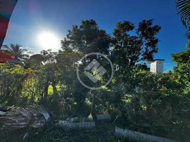 Fazenda venda em Região Geográfica Imediata de Caratinga, Caratinga