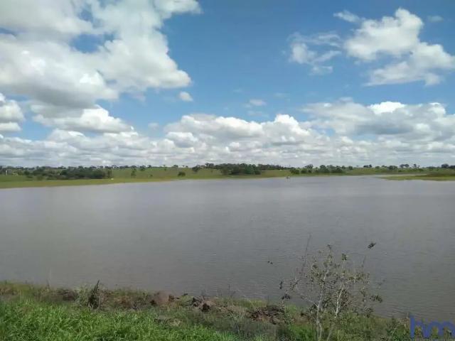 Fazenda venda em Região Imediata de Votuporanga, Cardoso