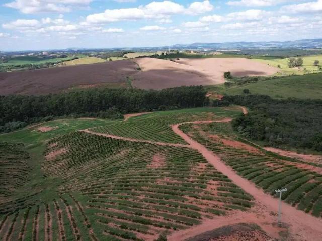 Fazenda venda em Região Geográfica Imediata de Pouso Alegre, Careaçu