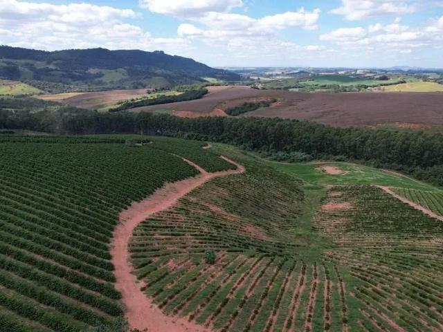 Fazenda venda em Região Geográfica Imediata de Pouso Alegre, Careaçu