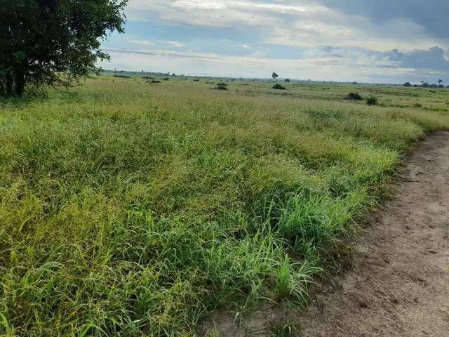 Fazenda venda em Carinhanha, Região Nordeste