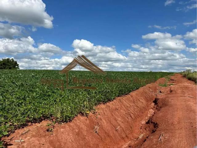 Fazenda venda em Região Geográfica Imediata de Santo Antônio da Platina, Carlópolis