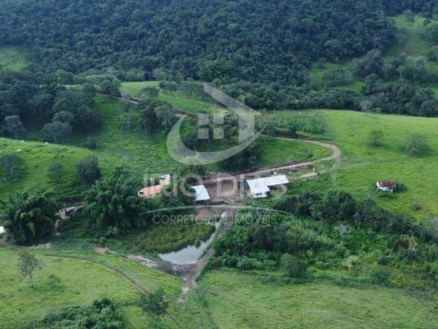 Sítio e chácara venda em Carmo da Mata, Região Geográfica Intermediária de Divinópolis