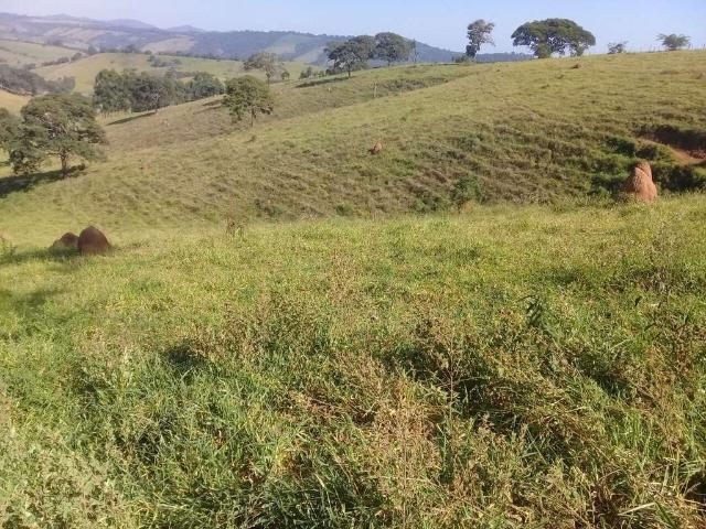 Fazenda venda em Região Geográfica Imediata de São Lourenço, Carmo de Minas