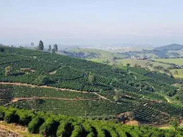 Fazenda venda em Região Geográfica Imediata de Pará de Minas, Pará de Minas