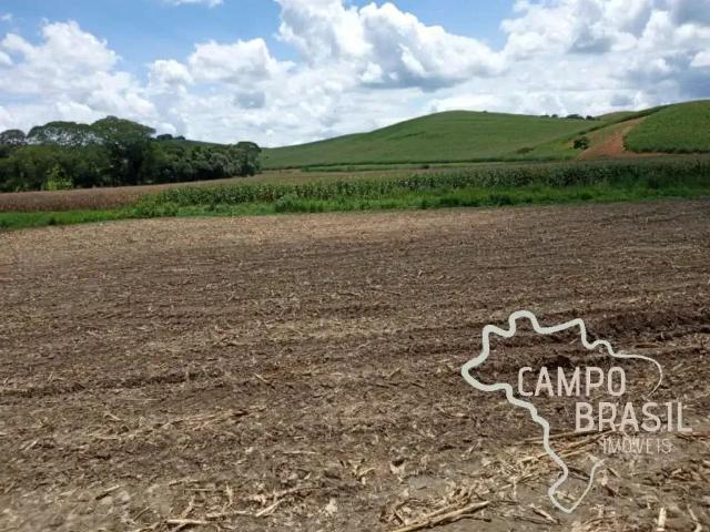 Fazenda venda em Região Geográfica Imediata de São Francisco, Icaraí de Minas