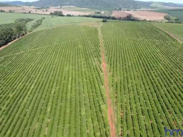 Fazenda venda em Região Geográfica Imediata de Passos, Carmo do Rio Claro