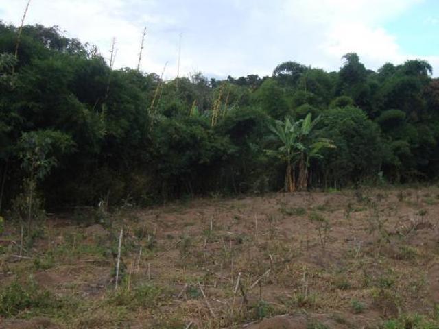 Sítio e chácara venda em Amaral, Carmópolis de Minas