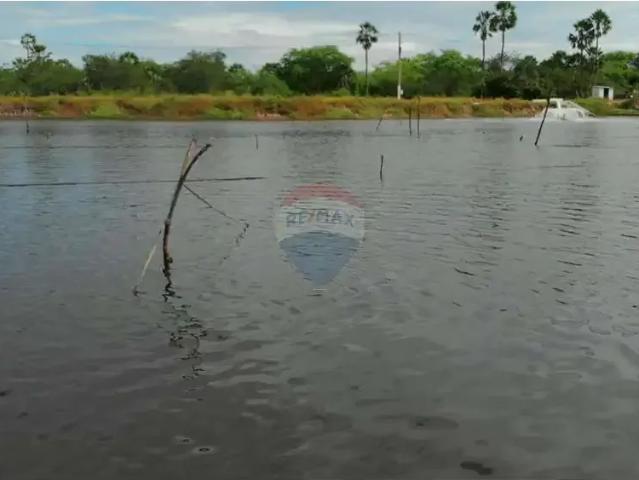 Fazenda venda em Região Geográfica Imediata de Açu, Carnaubais