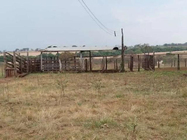 Fazenda venda em Região Geográfica Imediata de Iturama, Carneirinho