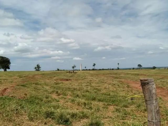 Fazenda venda em Região Geográfica Imediata de Iturama, Carneirinho