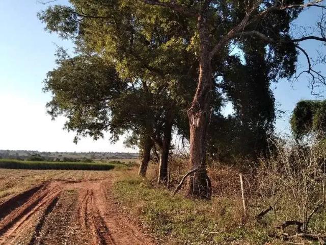 Fazenda venda em Região Geográfica Imediata de Iturama, Carneirinho